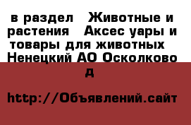  в раздел : Животные и растения » Аксесcуары и товары для животных . Ненецкий АО,Осколково д.